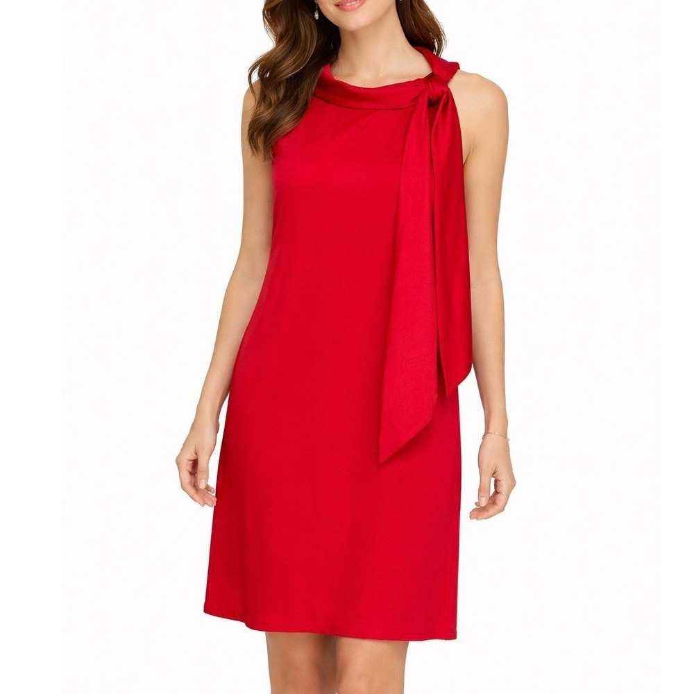 Signature Robbie Bee Women Dress 8 Red Chiffon A Line Retro Classic Elegant Chic